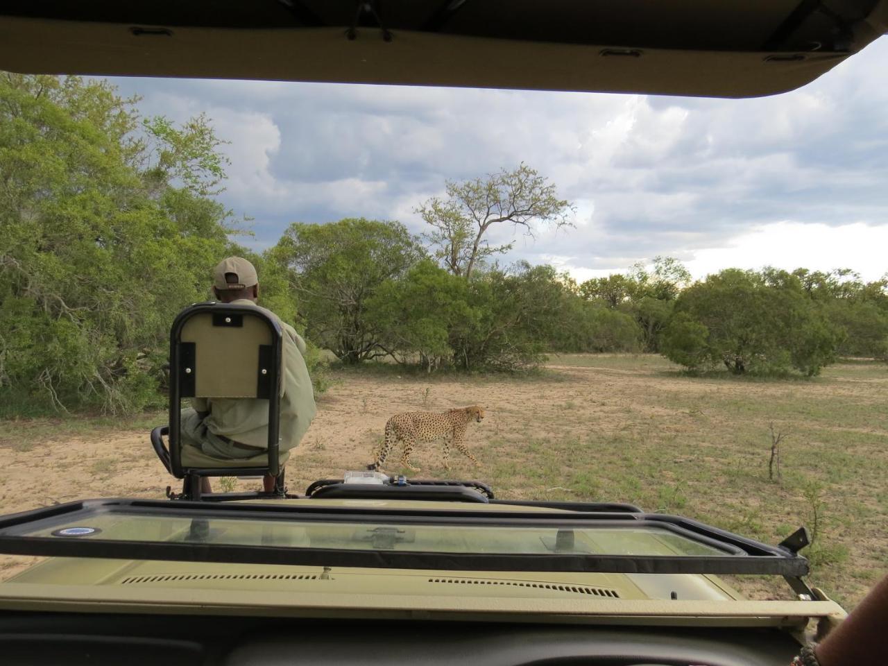 הודספרויט Nyumbani Estate Bush Lodge מראה חיצוני תמונה