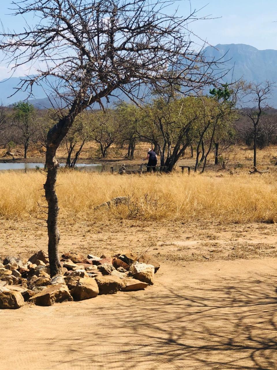 הודספרויט Nyumbani Estate Bush Lodge מראה חיצוני תמונה