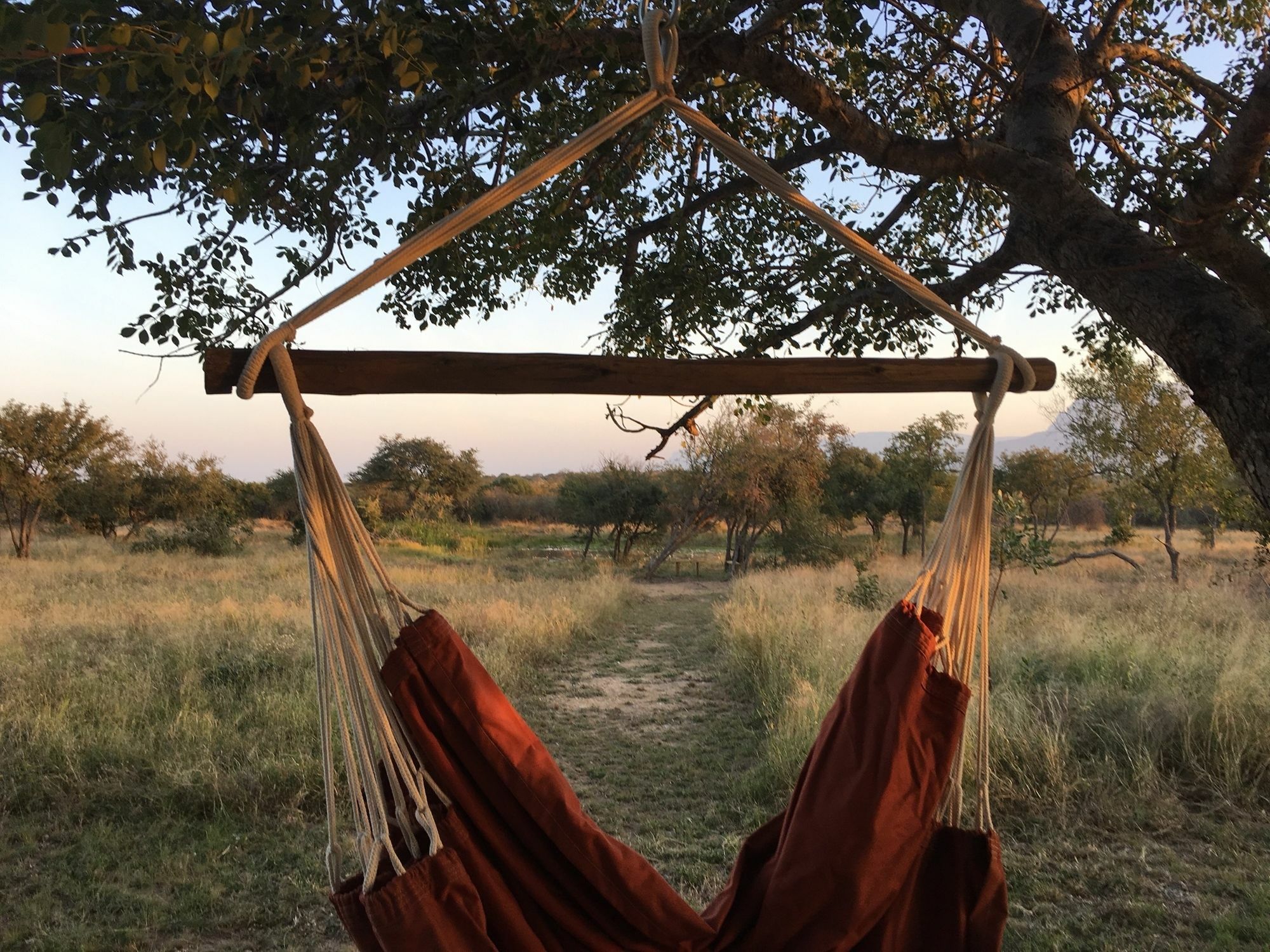 הודספרויט Nyumbani Estate Bush Lodge מראה חיצוני תמונה